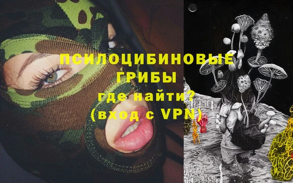 МДПВ Абдулино
