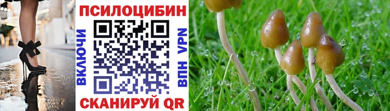 Галлюциногенные грибы Cubensis  Назрань 