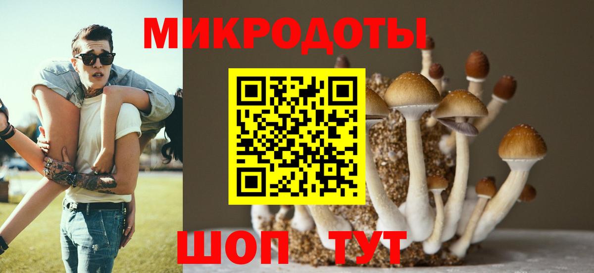 Галлюциногенные грибы ЛСД  Вход с VPN  Назрань 