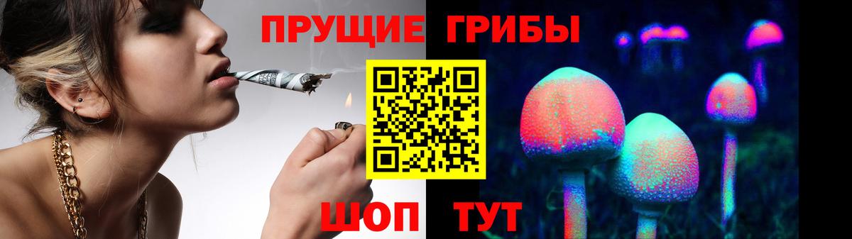 Галлюциногенные грибы Cubensis Назрань