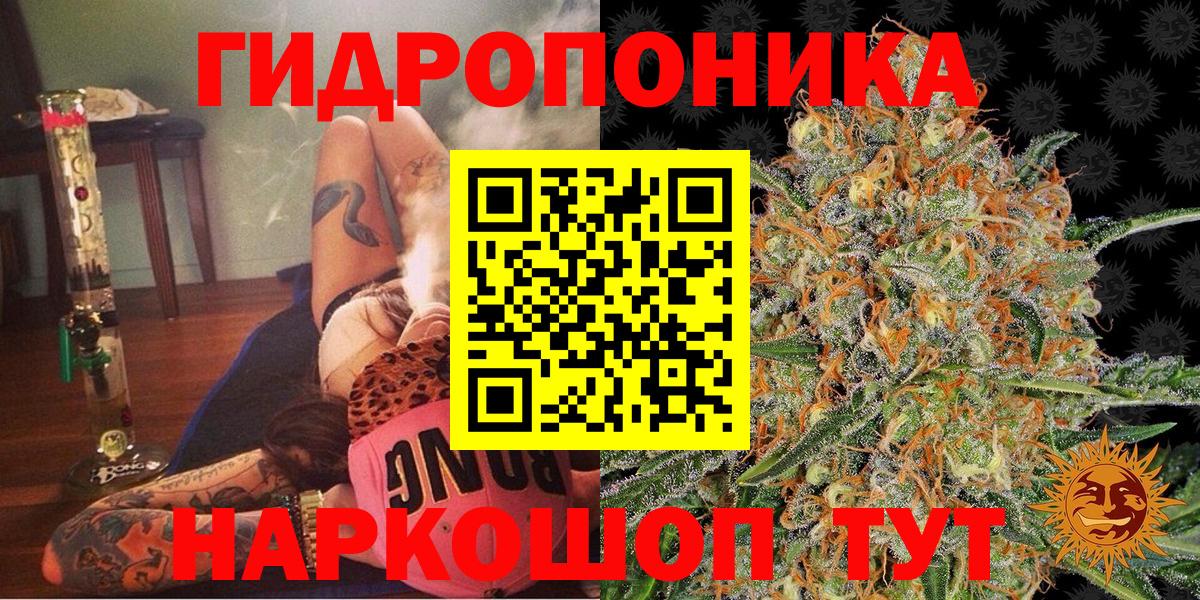 МАРИХУАНА план Назрань